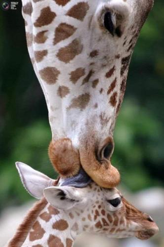 FB_IMG_1694122168575