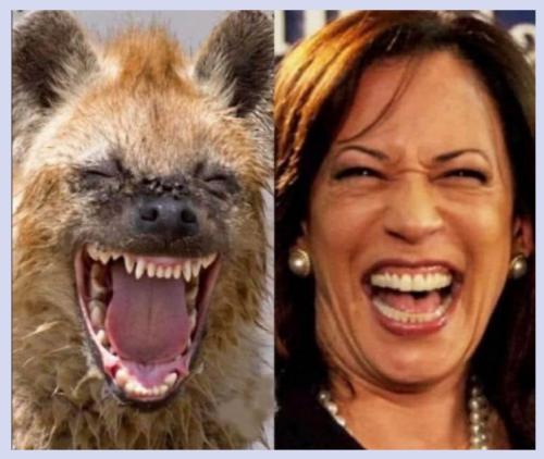 Screenshot_20230905_025220_Chrome