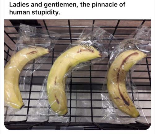 fresh bananas