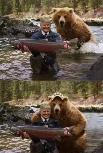 6d38ce007bea0502310952fae465ae98_768x0