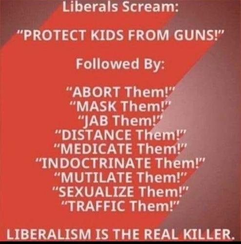 libs screem c