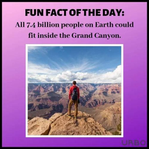 FB_IMG_1695237723581