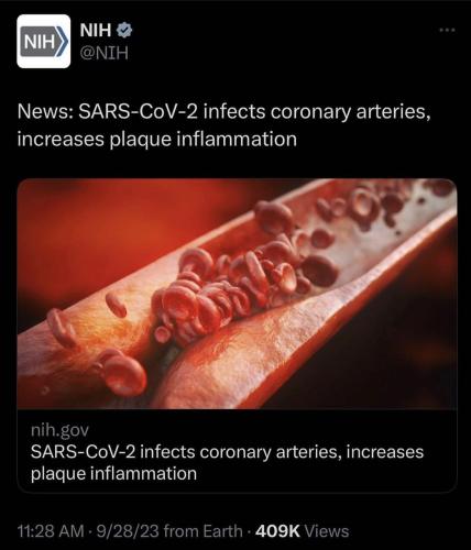 photo_2023-09-29_14-33-11