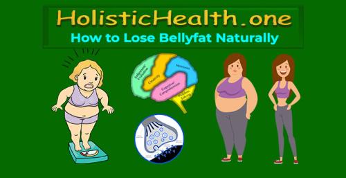HolisticHealth.one - How to Lose Bellyfat Naturally
