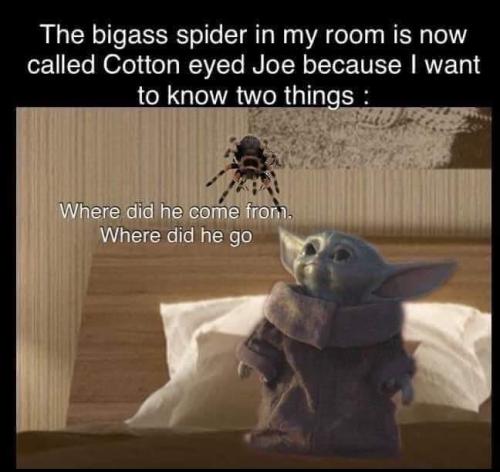 FB_IMG_1695014994408