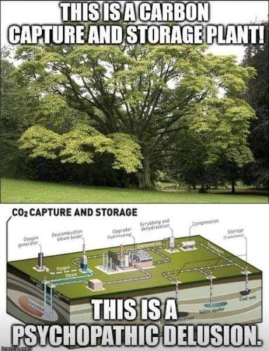 carbon capture