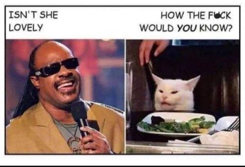 FB_IMG_1695495802964