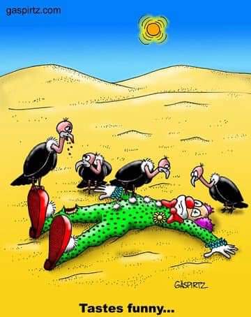 FB_IMG_1694239968192
