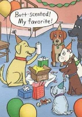 FB_IMG_1693552613751