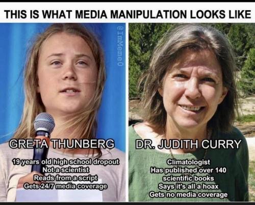 Climate hoax manipulation