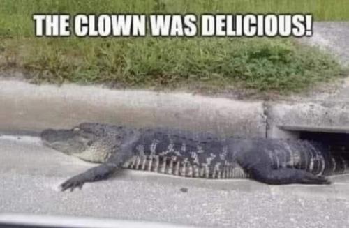 delicious