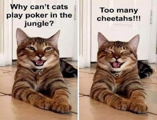FB_IMG_1694527204274