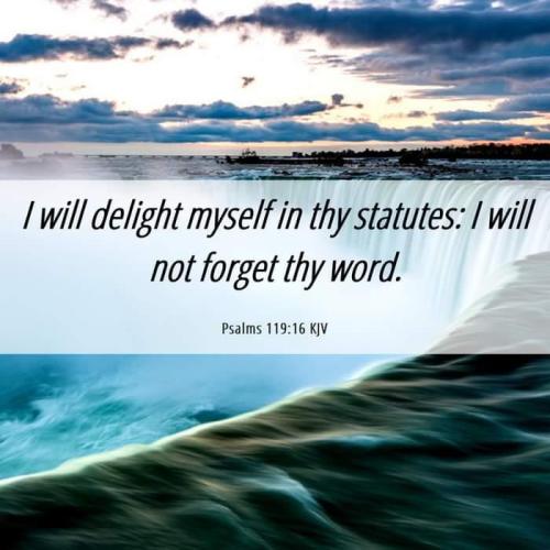 3e22a04d-24e3-4e85-bc4a-6b1935f8b666