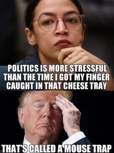 aoc cheese c