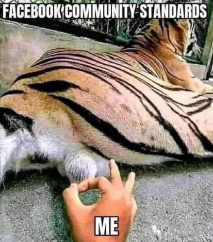 FB_IMG_1695413398795