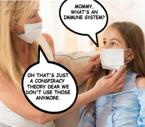 mask conspiracy