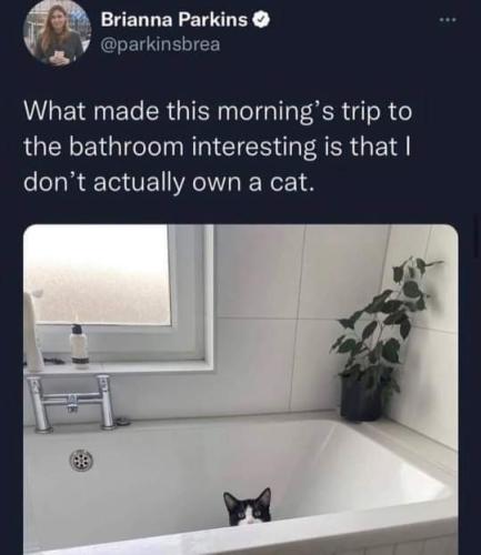 FB_IMG_1695773174311