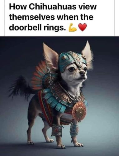 FB_IMG_1693873163589