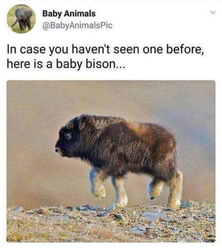 FB_IMG_1694973055805