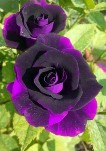 FB_IMG_1695459386593