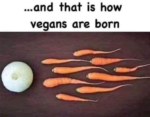 FB_IMG_1695352452534