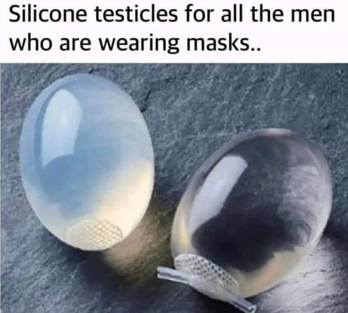 FB_IMG_1694275565645