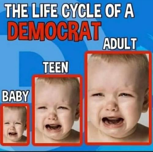 0f9d2025-2c00-45de-922c-7b22d73be2f5