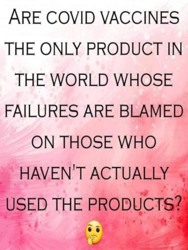 FB_IMG_1695669669118