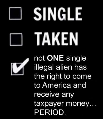 illegal immigration280