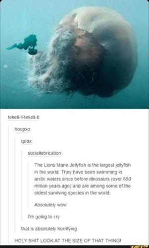 f8edaf79-56e6-41df-9a90-41b711d1f7db