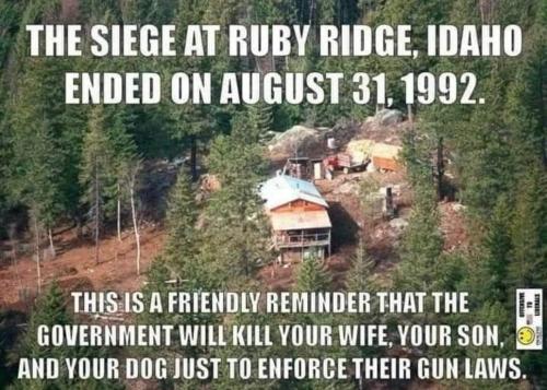 FB_IMG_1693540143033