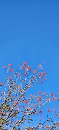 11:46:39 GMT-0500 (CDT)