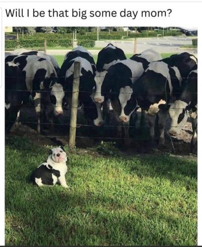 Screenshot_20230926-205629_MeWe