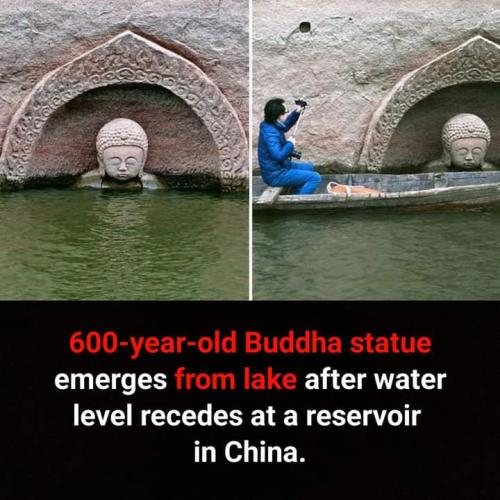 FB_IMG_1694540462348