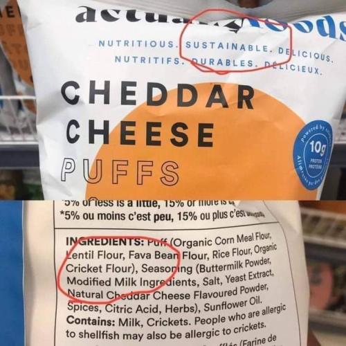 cricket flour