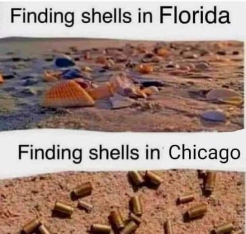 FB_IMG_1694565000347