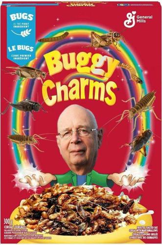 FB_IMG_1694399324080