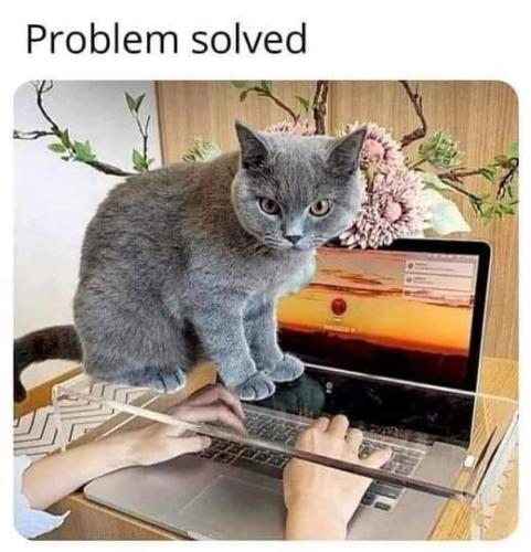 FB_IMG_1695714969554