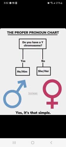 male vs female