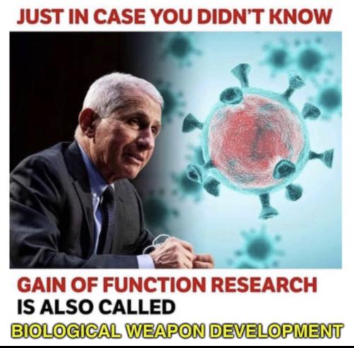 a88eced6-893f-4ed8-8104-279c346a0bec