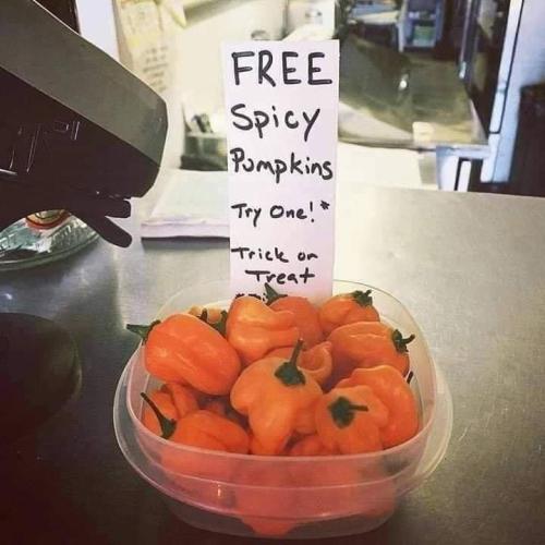 spicy pumpkins