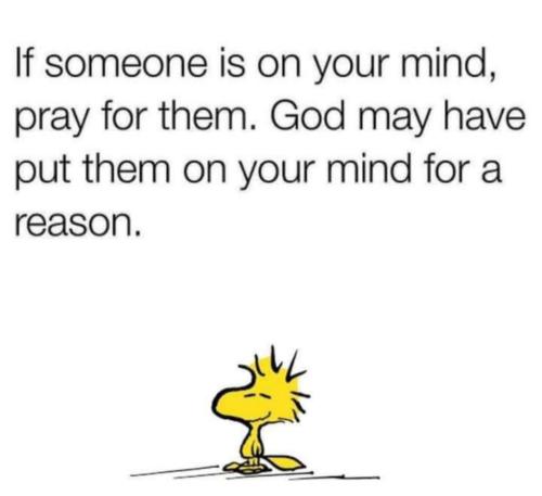 17d4349f-b249-4c92-a333-e966c7644bab