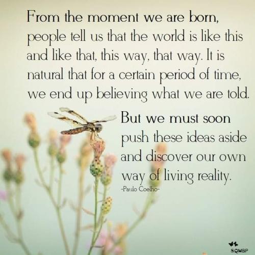 FB_IMG_1695228985289