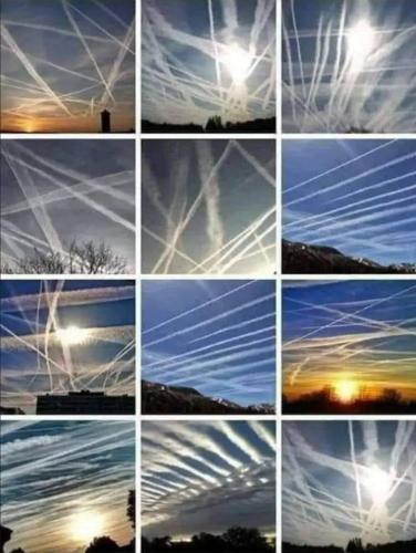 9c3446c3-1cc7-47f5-8ffc-639d3b0d4fe6