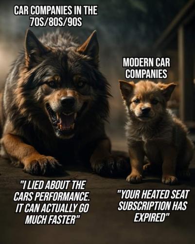 FB_IMG_1695120748320