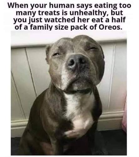 FB_IMG_1693717025678