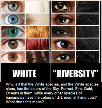 Diversity 1