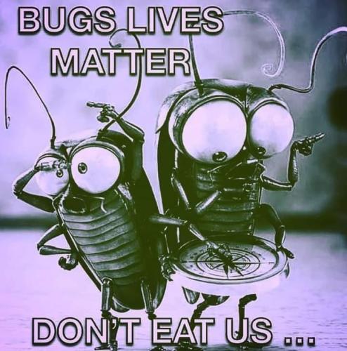 FB_IMG_1695435804881