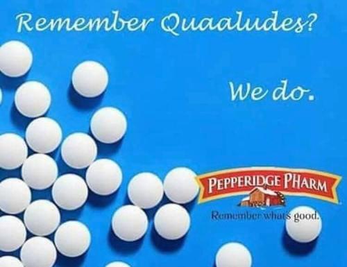 376267283_1449958292457880_5514600558832387017_n