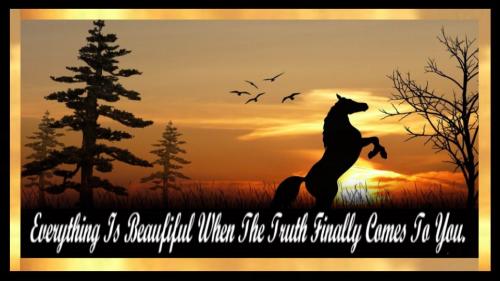 189-1892331_black-horse-hd-desktop-wallpaper-cool-mustang-horse